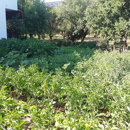 アパートホテル Bibilli Apart 2*