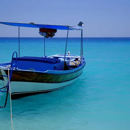 Bibilli Apart Palamutbuku