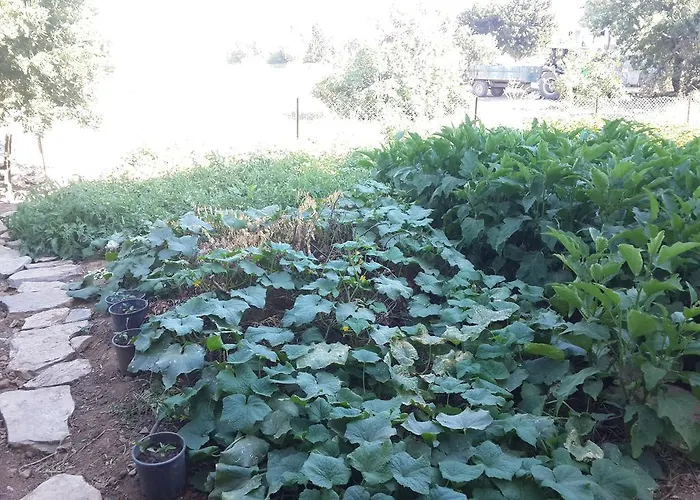 Bibilli Apart Aparthotel