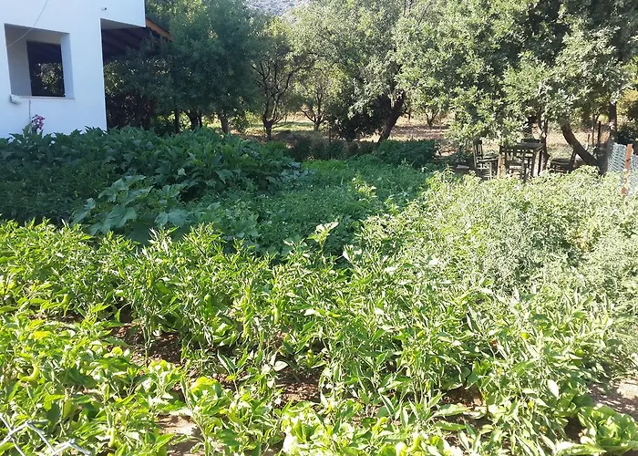 Aparthotel Bibilli Apart 2*