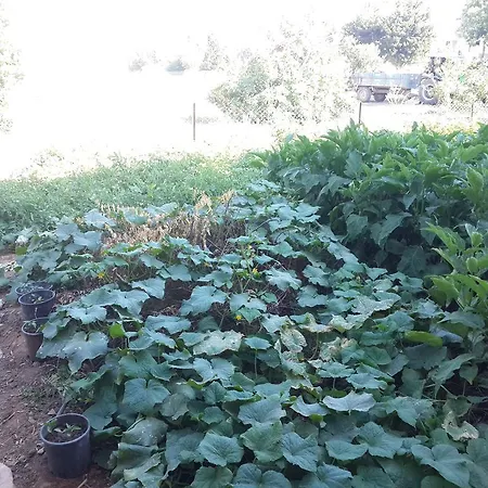 Bibilli Apart Lägenhetshotell